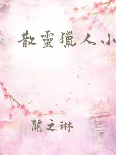 散灵猎人小说