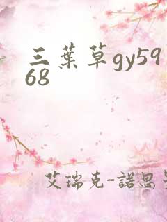 三叶草gy5968