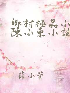 乡村极品小医仙陈小东小说在线阅读