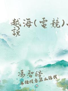 越海(电竞)小说