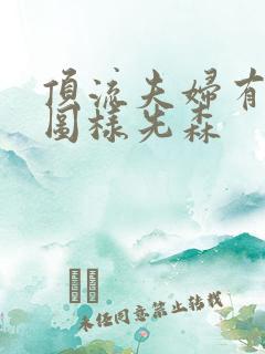 顶流夫妇有点甜图样先森