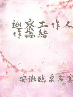巡察工作人员工作总结
