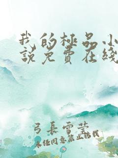 我的极品小姨小说免费在线阅读完整版