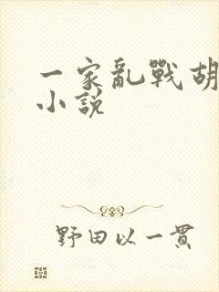 一家乱战胡秀英小说