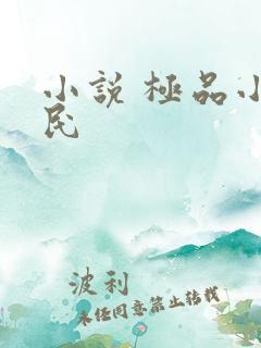 小说 极品小农民