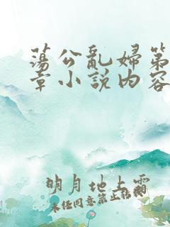 荡公乱妇第51章小说内容