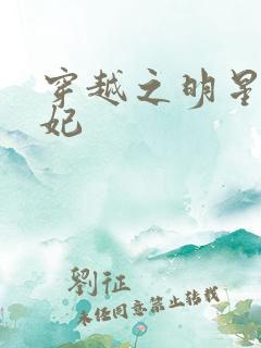 穿越之明星太子妃