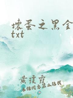 坏蛋之黑金帝国txt