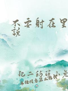 不要射在里面小说