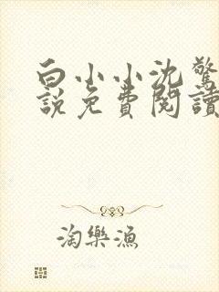 白小小沈惊觉小说免费阅读