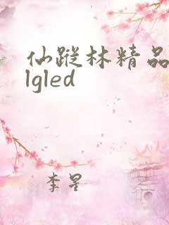 仙踪林精品zzlgled