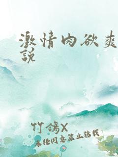 激情肉欲爽文小说