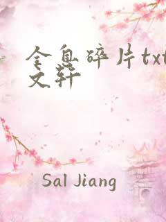 全息碎片txt文轩