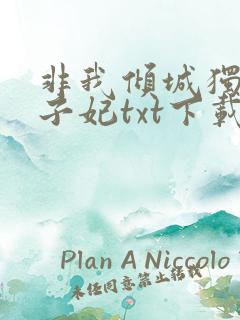 非我倾城独宠太子妃txt下载