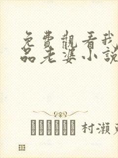 免费观看我的极品老婆小说