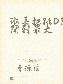 班长把跳D开关开到最大