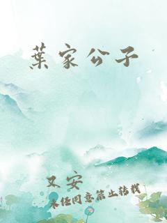 叶家公子