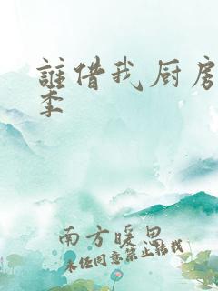 谁借我厨房第三季