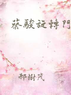 蔡骏旋转门