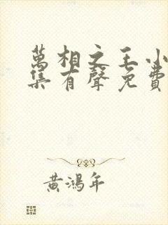 万相之王小说全集有声免费听
