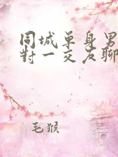同城单身男女一对一交友聊天约会
