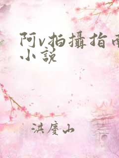 阿v拍摄指南说小说
