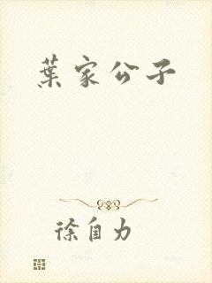 叶家公子