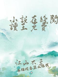 小说在线阅读阅读王免费