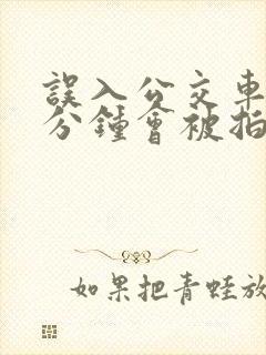 误入公交车道2分钟会被拍吗