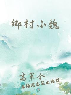 乡村小魏