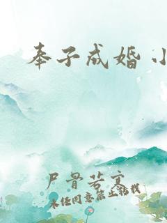 奉子成婚 小说