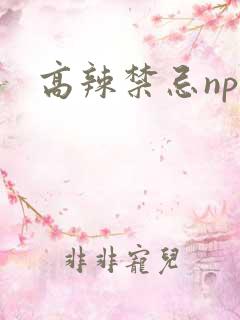 高辣禁忌np文