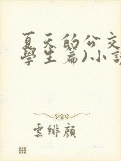 夏天的公交车(学生篇)小说