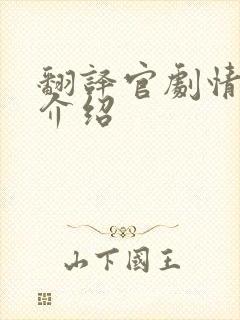 翻译官剧情分集介绍