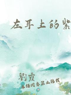 左耳上的紫水晶