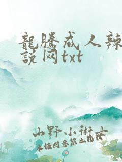 龙腾成人辣文小说网txt