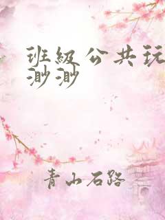 班级公共玩具叶渺渺
