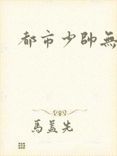 都市少帅无弹窗