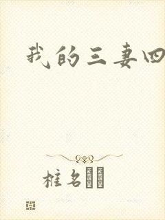 我的三妻四妾