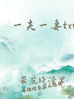 一夫一妻txt