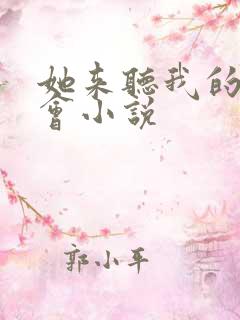她来听我的演唱会小说