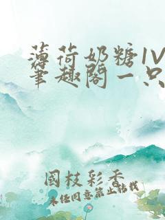 薄荷奶糖1V2笔趣阁一只豆苗