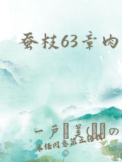 蚕枝63章肉
