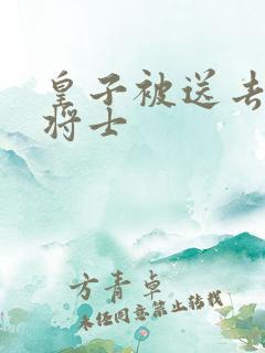 皇子被送去犒劳将士