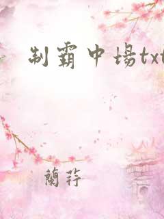 制霸中场txt