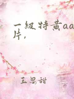 一级特黄aa大片,