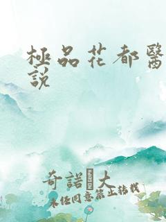 极品花都医仙小说