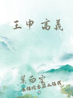 王申 高义