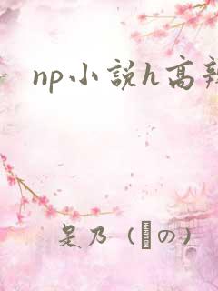 np小说h高辣