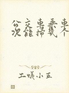 公交车乘车码一次能扫几个人
